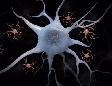 Las neuronas pueden reparar daños del envejecimiento