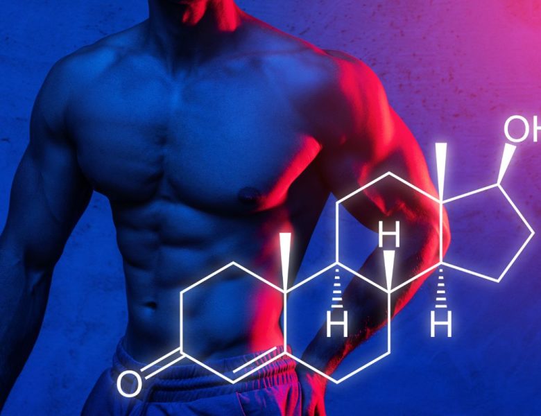 ¿Qué son los SARMs y cómo ayudan a mejorar la masa muscular?